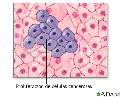 Proliferación de células