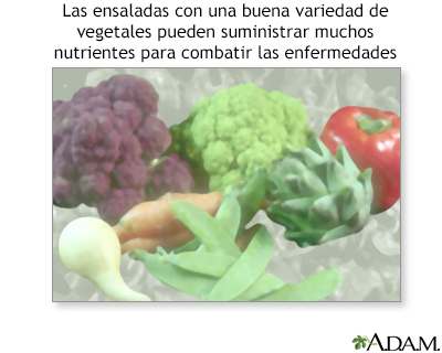 Nutrientes de la ensalada - Miniatura de ilustración
              