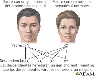 Genética - Miniatura de ilustración
              