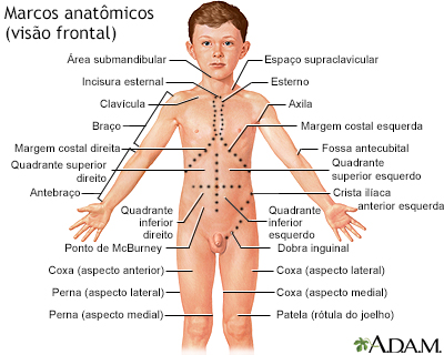 Referências anatômicas, visão frontal