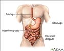 Sangramento gastrointestinal - série