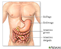 Doença inflamatória intestinal - série