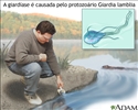 Giardíase