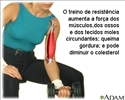 Exercícios isométricos
