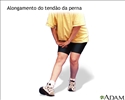 Alongamento posterior da coxa