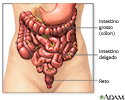 Gases intestinais