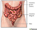 Colostomia - série