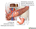 Alimento e liberação de insulina