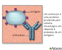 Anticorpos