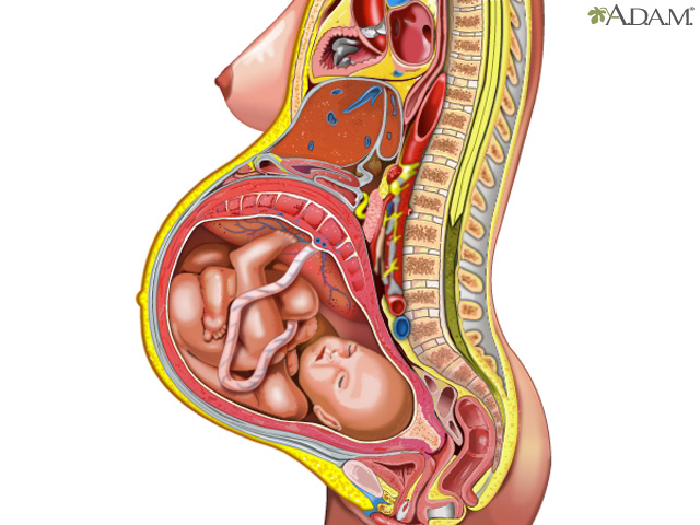 Pregnancy