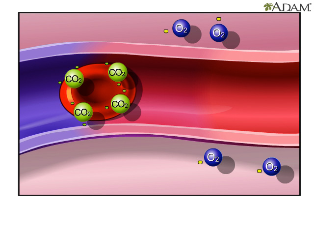 Nutrient exchange