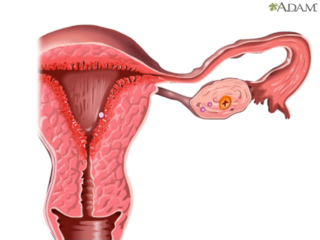 Egg cell production