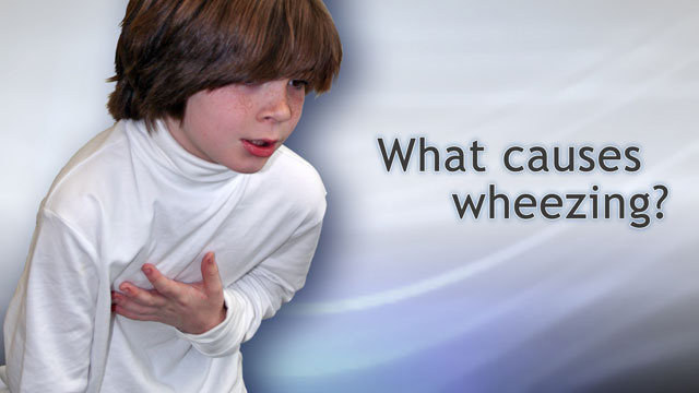 What causes wheezing?