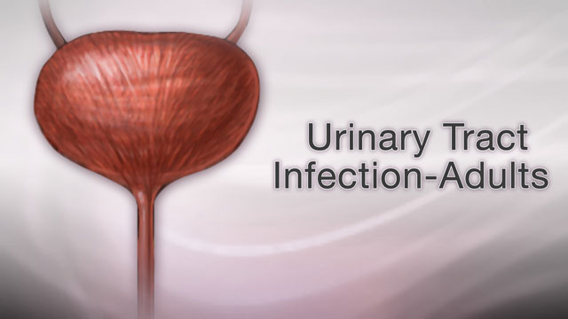 Urinary tract infection - adults