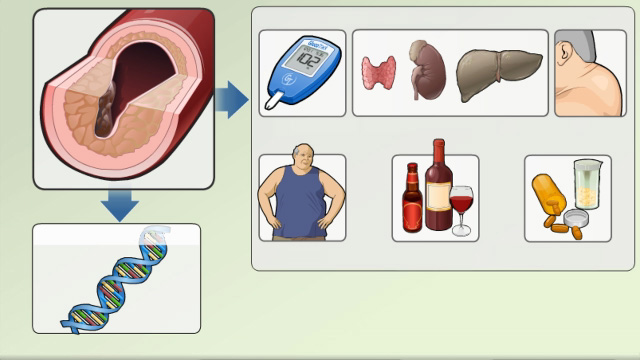 Types of hyperlipidemia