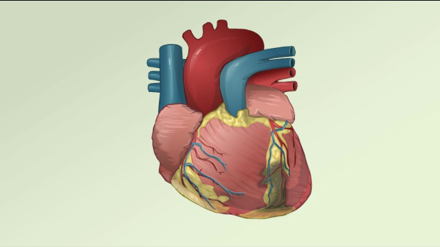 Heart attack (myocardial infarction) overview