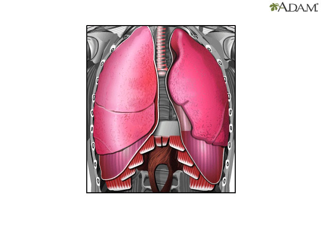 Respiración