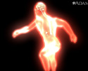 Epinephrine and exercise - Animation
                    