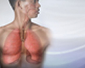 Bronchitis - Animation
                    