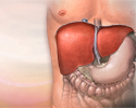 Hepatitis A - Animation
                    