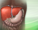 Hepatitis C - Animation
                    