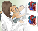 Echocardiography overview - Animation
                        
