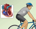 Echocardiography (ECG) - exercise stress test overview - Animation
                        