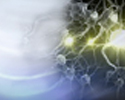 Epilepsy - Animation
                    