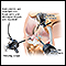 <div class=media-desc><strong>Knee arthroscopy</strong><p>Knee arthroscopy is surgery that is done to check for problems, using a tiny camera to see inside your knee. Other medical instruments may also be inserted to repair your knee. </p></div>