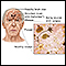 <div class=media-desc><strong>Alzheimer disease</strong><p>Aged nervous tissue is less able to rapidly communicate with other neural tissues.</p></div>