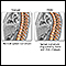 <div class=media-desc><strong>Changes in spine with age</strong><p>The spine weakens with age, becoming more curved and more fragile.</p></div>